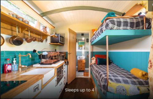 Shepherds Hut with Scandinavian Hot Tub and hydromassager - Foto 8