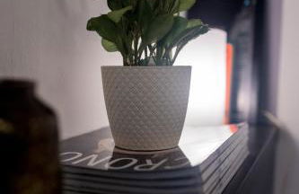 Inmyhome Pedro Antonio Studio - Foto 16