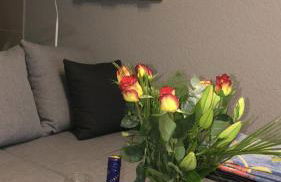 Ferienwohnung Schwede - Foto 21