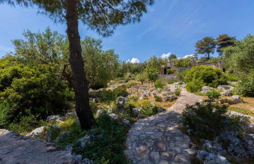 Pajara Rugiada - Foto 42