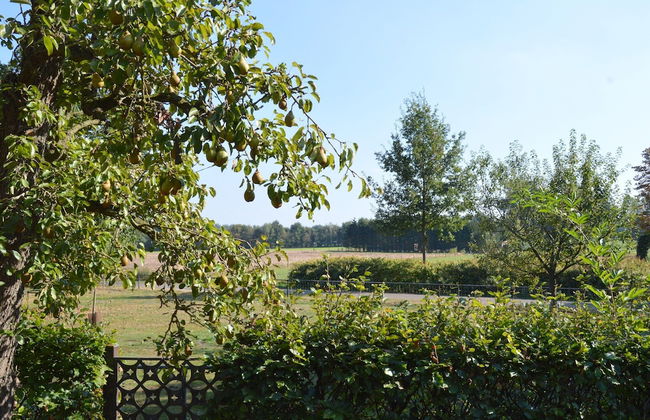 Spacious Holiday Home in Rekken With Hot Tub - Foto 42