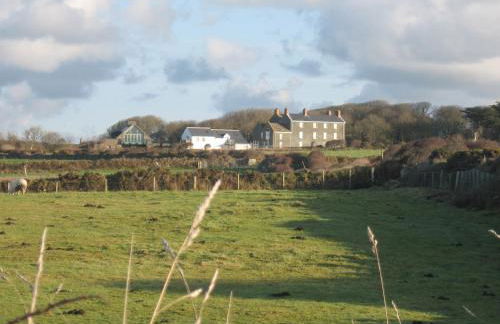 Skomer View Solva - Foto 12