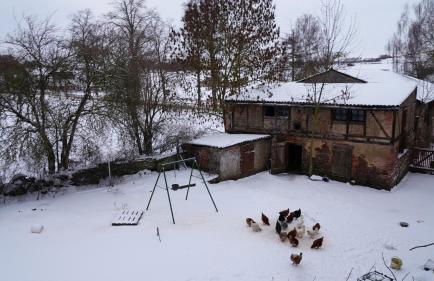 Landzeit Niedergräfenhain - Foto 17