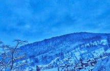 Miu's Roof - Foto 16