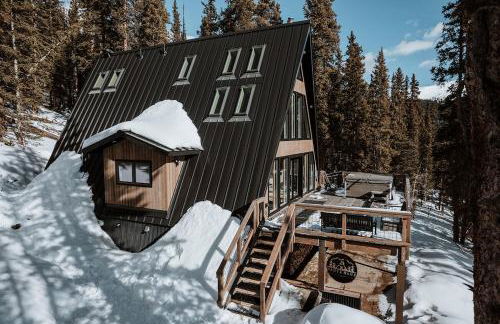 Haute Haus Aframe in Alma Colorado - Foto 41