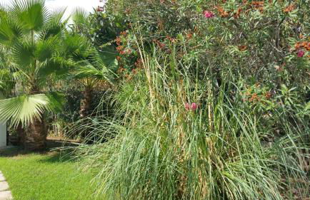 Villa Ines con piscina sud Sardegna - Foto 40