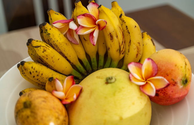 Kanasuk Selfcatering Apartments - Foto 39