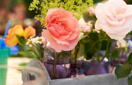 Ferienwohnung Schröder - Photo 21