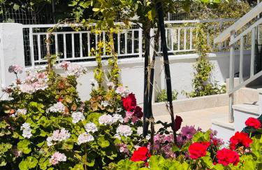 Lemon tree's house - Foto 29