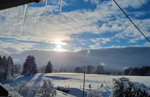 Landhaus Black Forest - Foto 1