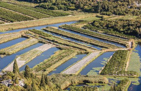 Awesome Apartment In Rogotin-Ploce - Photo 18