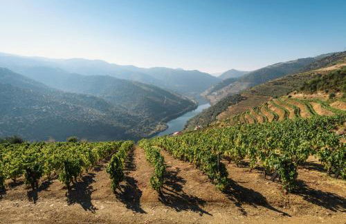 Refúgio Rústico - Exclusivo - Foto 34