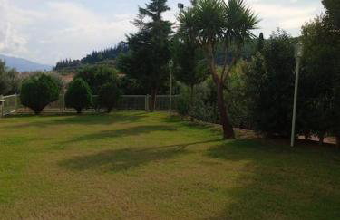 Ktimaoliva1 - Foto 33