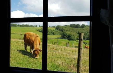 Apartamentos rurales Casa Do Cabo - Foto 26