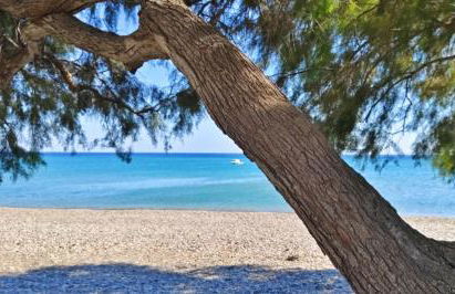 Phil Samosflats Beachfront Maisonettes - Foto 50