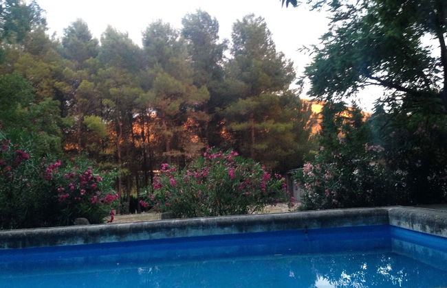 Mas De San Antonio - Foto 13