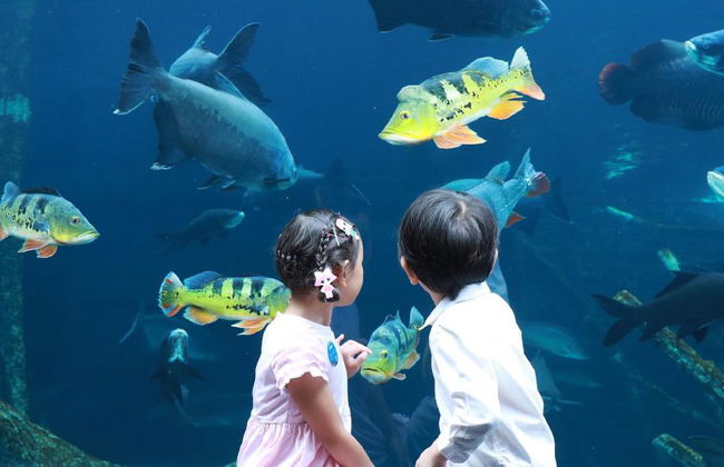 Acuario y Museo Trick Eye - Foto 1