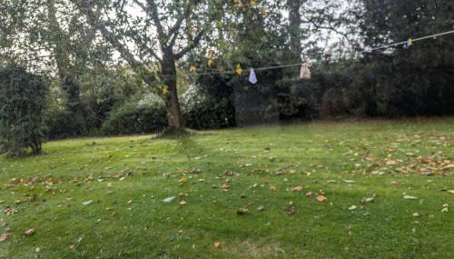 Traditional Farmhouse in Seaforde - Foto 3