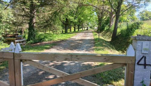 logement à la campagne - Photo 5