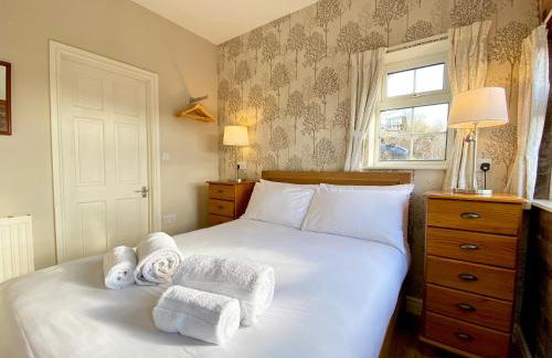 Brown Snout - Foto 6