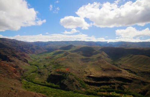 2 Bedroom Kapaa Condo with Pool and AC 115 - Foto 35