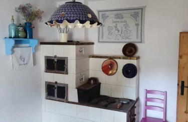 Agroturystyka Jak Makiem Zasiał Dworki 10 - Foto 37