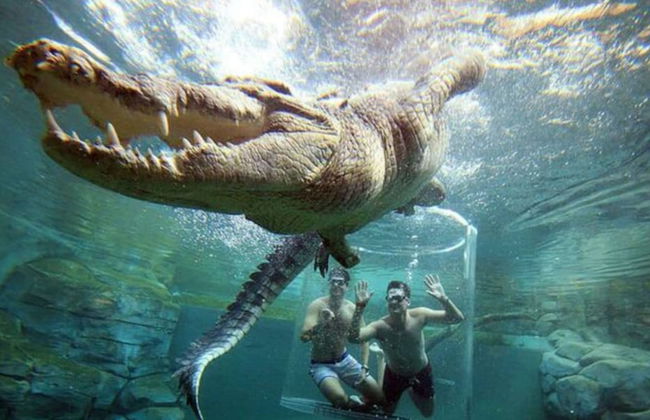 Waterfront Retreat Ocean Views Pool Balcony - Photo 23