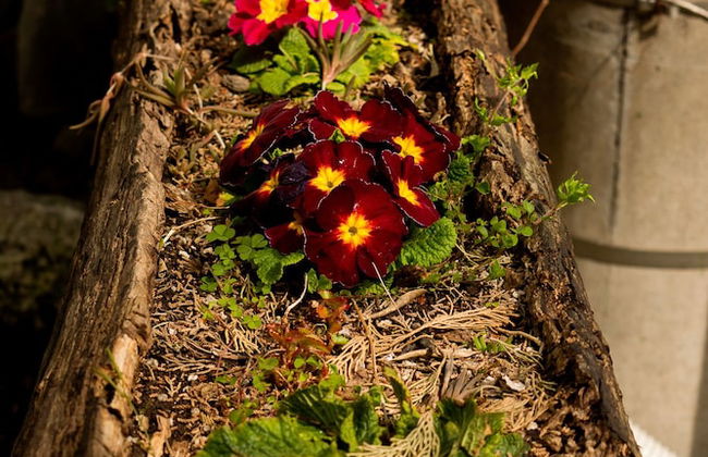 Al Regio Tratturo - Foto 34