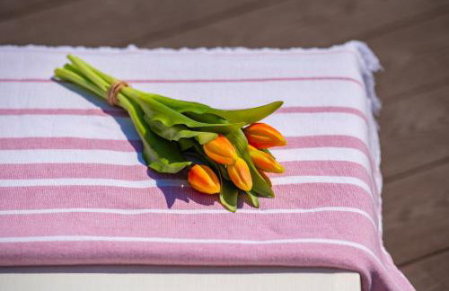 Villa Florinda with Pool and Prime Location near Split - Photo 16