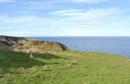 Seabreezes - Uk30690 - Foto 14