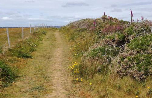 Farm accommodation - The Lizard Peninsula, Cornwall - Foto 19