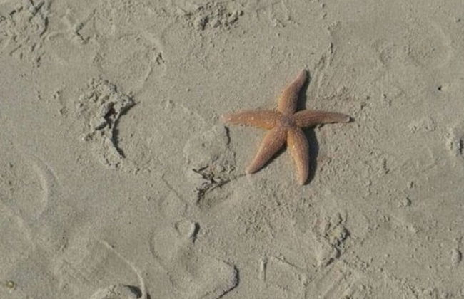 Long Comfortable Holiday Residence - Foto 17