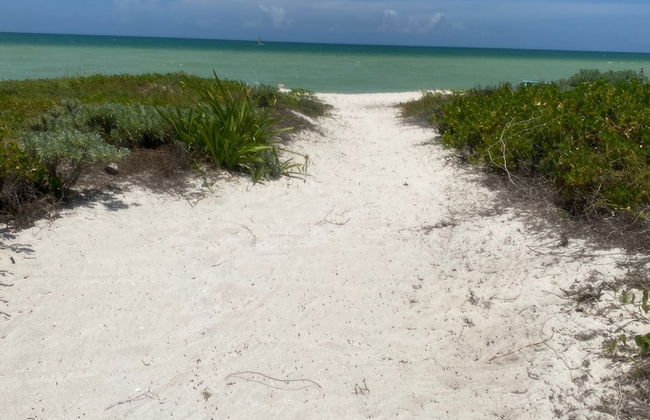 Entire House on the Seashore in Chicxulub Puerto, Yuc, Riviera Yucateca Mex - Photo 44