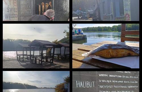 Apartament Skorpion Marina & Spa Sagaris Dziwnów - Foto 34