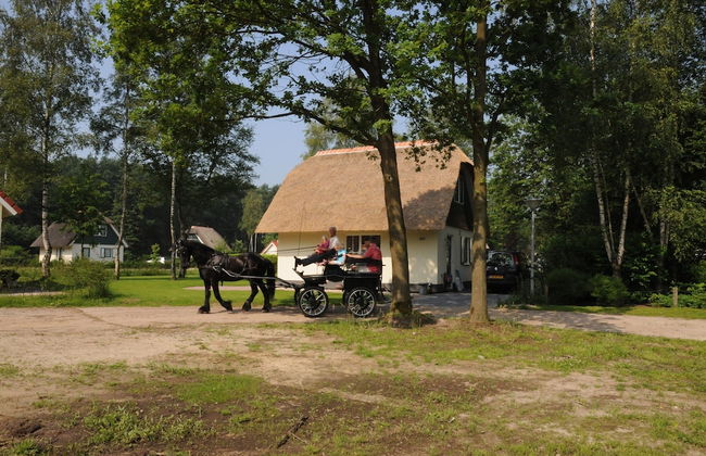 Holiday Home in Heeten Near Forest - Foto 27