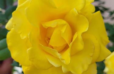 Casa Intignano - Camera con bagno e portico vista lago - Foto 20