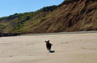 Autumn Cottage - Photo 35