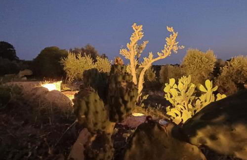 Trullo Terra Bianca - Foto 45