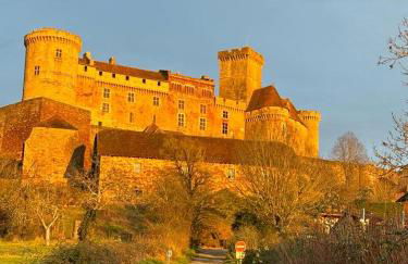 Grangette au chateau de Castelnau - Foto 1