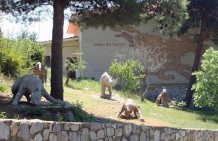 Aggela House - Foto 29