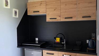 Bieszczadzka SielAnka - Foto 4