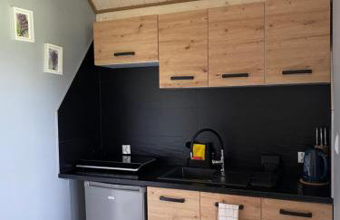 Bieszczadzka SielAnka - Foto 4