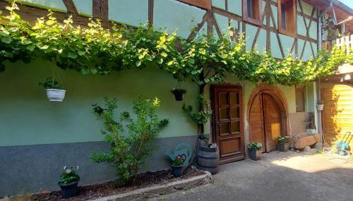 Gîte typique alsacien maison vigneronne 18e siècle - Foto 4, Garden