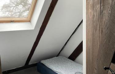 Stara Szkola - Foto 63