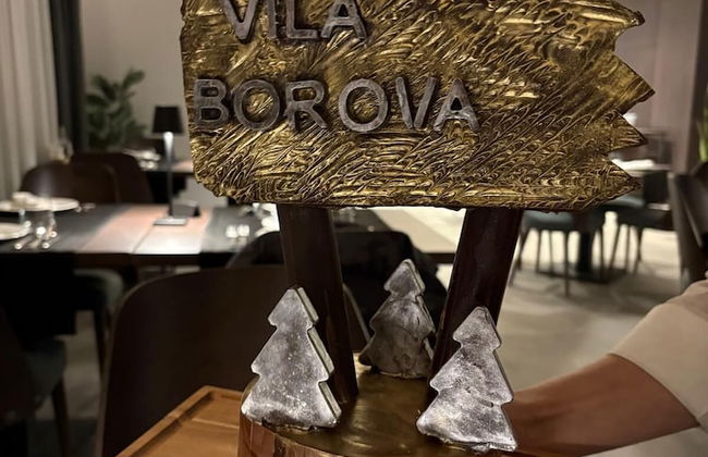 Vila Borova Wellness & Spa Resort - Foto 44