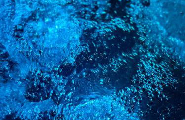 Leśne Siedlisko Wygonin - Foto 52