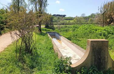 Casa mia Metro A 100mt - Foto 79