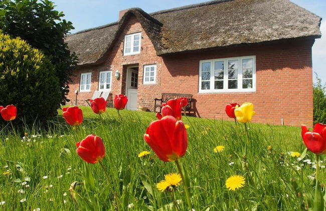 Holiday Home Ockholm - Photo 1