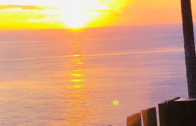 Castara Inn - Photo 56