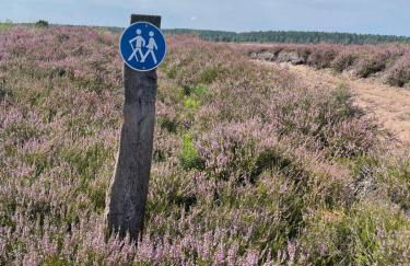 Holiday in der Lüneburger Heide - Foto 23